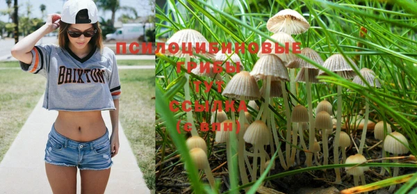 экстази Армянск