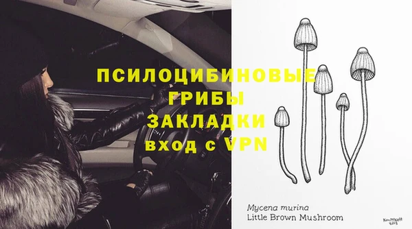 СК Арсеньев