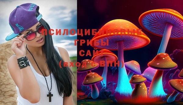 СК Арсеньев