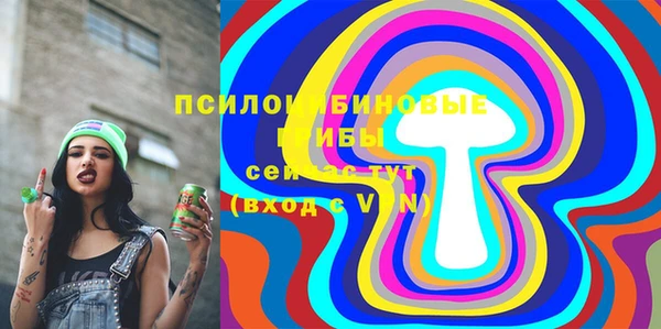 сатива Аркадак