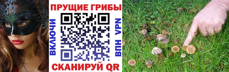 Псилоцибиновые грибы GOLDEN TEACHER  Купить где  Балашов 