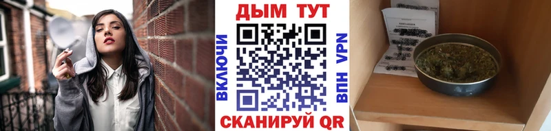 Купить  Балашов  Шишки марихуана OG Kush 